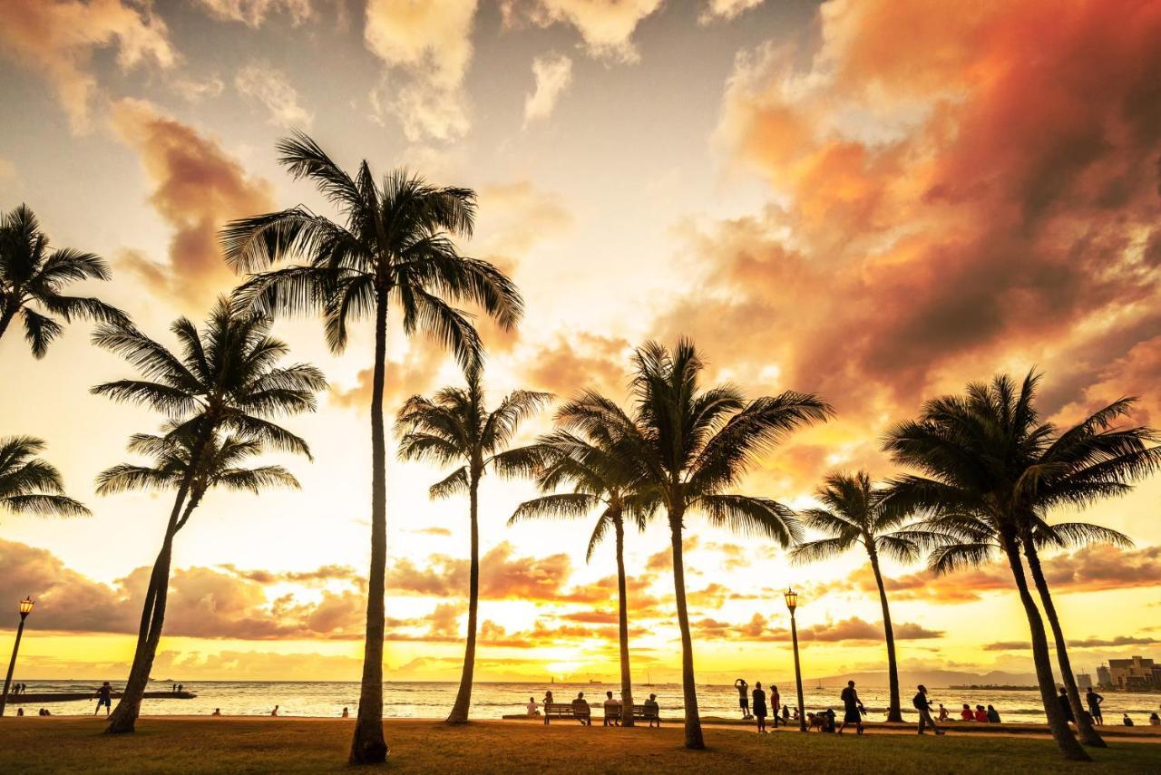 דירות הונולולו Aqua Palms Waikiki Ocean View Lanai Parking Included מראה חיצוני תמונה